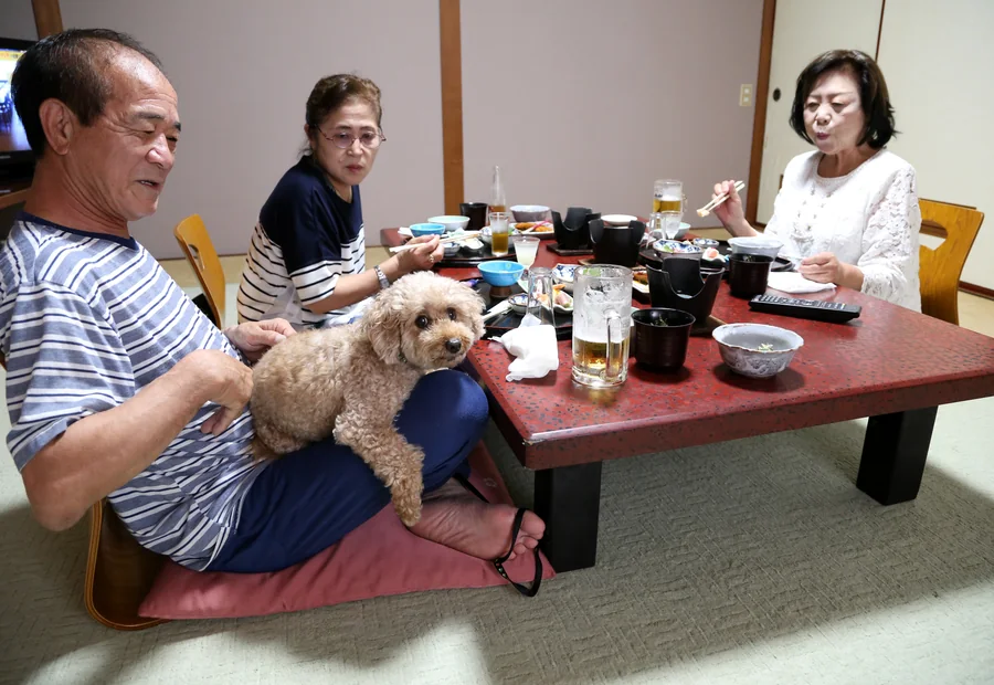 ワンちゃんとお部屋で一緒に食事